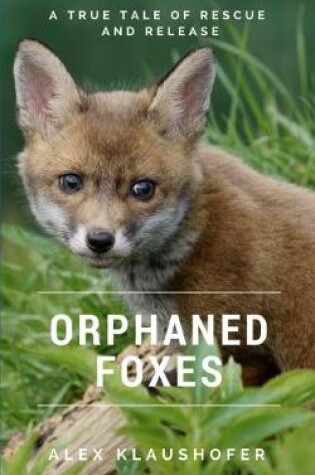 Cover of Orphaned Foxes