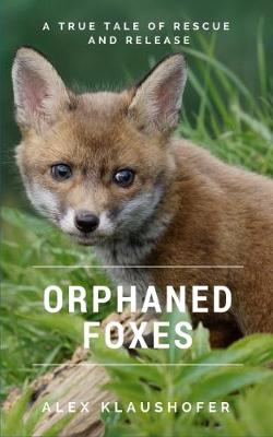 Cover of Orphaned Foxes