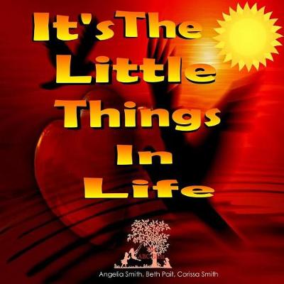 Book cover for It's The Little Things In Life