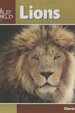 Cover of Lions