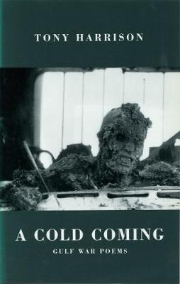 Book cover for A Cold Coming