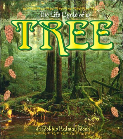Book cover for The Life Cycle of the Tree