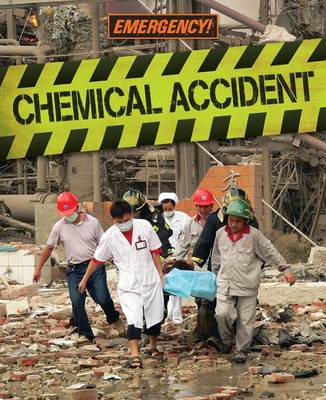 Book cover for Chemical Accident