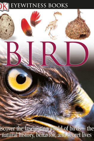 Cover of DK Eyewitness Books: Bird