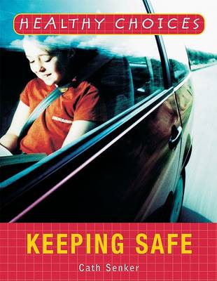 Book cover for Keeping Safe