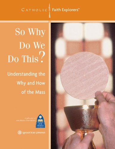 Book cover for So Why Do We Do This?