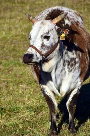 Cover of Zebu Cow in a Field Journal