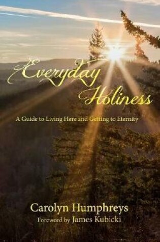 Cover of Everyday Holiness