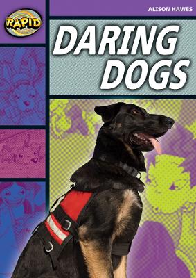 Book cover for Rapid Stage 1 Set B: Daring Dogs(Series 1)