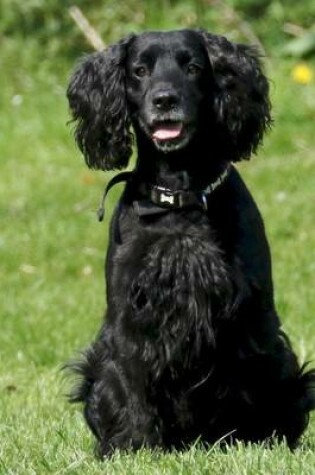 Cover of Black Cocker Spaniel Dog Journal