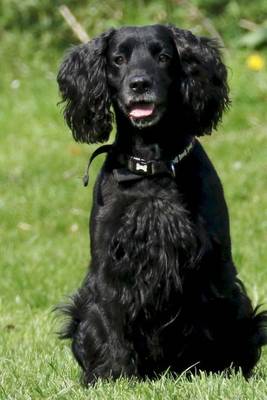 Book cover for Black Cocker Spaniel Dog Journal