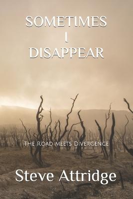 Book cover for Sometimes I Disappear