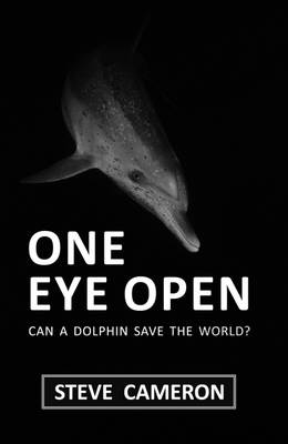 Book cover for One Eye Open