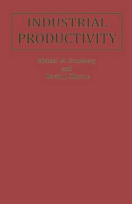 Book cover for Industrial Productivity