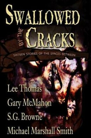 Cover of Swallowed By The Cracks