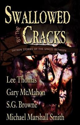 Book cover for Swallowed By The Cracks
