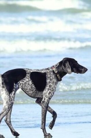 Cover of Awesome Gray and Black Spotted Dog on the Beach Pet Journal