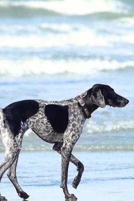 Book cover for Awesome Gray and Black Spotted Dog on the Beach Pet Journal