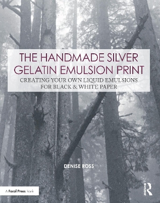 Book cover for The Handmade Silver Gelatin Emulsion Print