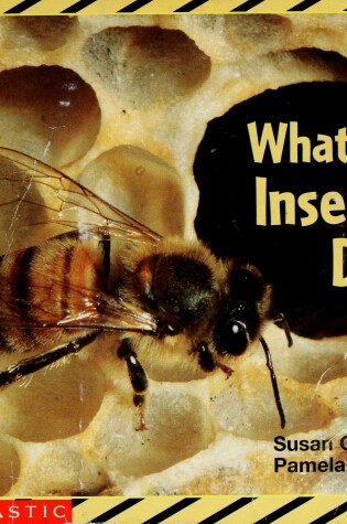 Cover of What Do Insects Do?