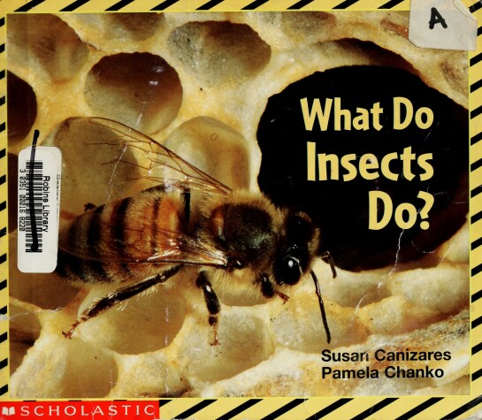 Cover of What Do Insects Do?