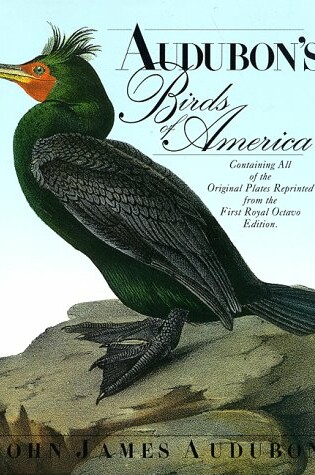 Cover of Audubon's Birds of America