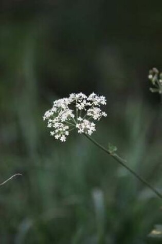 Cover of Queen Anne's Lace Flower Journal