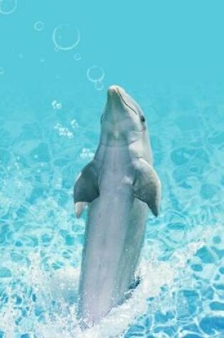 Cover of Dolphin