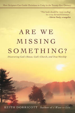 Cover of Are We Missing Something?