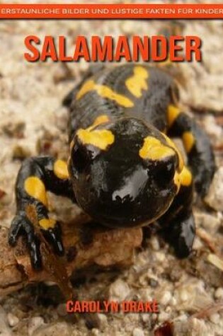 Cover of Salamander