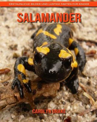 Book cover for Salamander