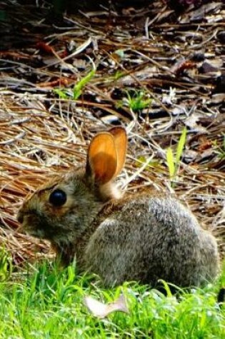 Cover of Wild Bunny Rabbit Lined Journal for daily thoughts notebook Lovely Lake Arrowhead Photograph