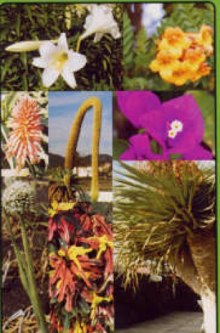 Cover of Plants and Flowers of Lanzarote