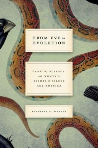 Cover of From Eve to Evolution