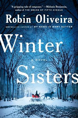 Book cover for Winter Sisters