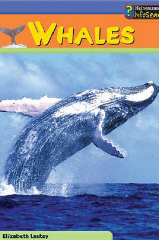 Cover of Sea Creatures: Whales HB