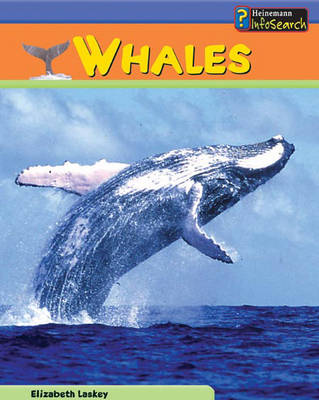 Book cover for Sea Creatures: Whales HB