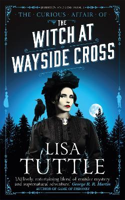 Book cover for The Witch at Wayside Cross