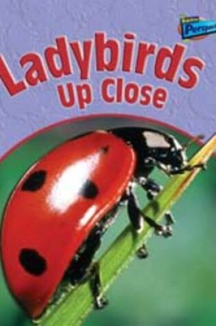 Cover of Ladybirds Up Close