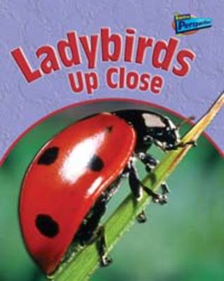 Book cover for Ladybirds Up Close