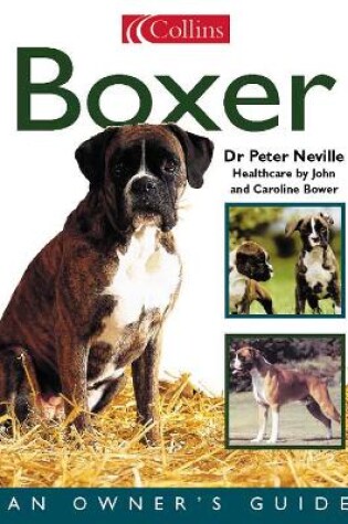 Cover of Boxer