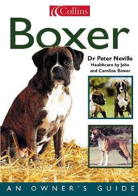 Cover of Boxer