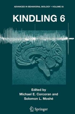 Cover of Kindling 6