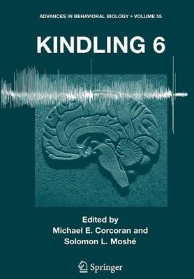 Cover of Kindling 6