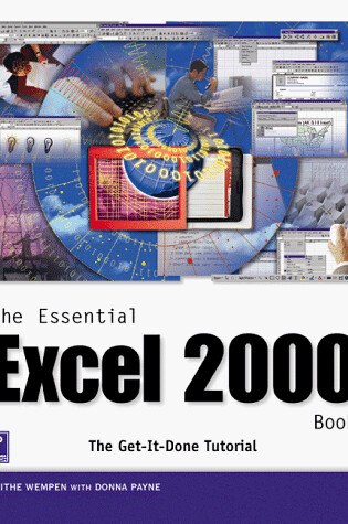 Cover of The Essential Excel 2000 Book