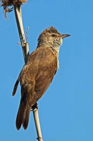 Cover of Great Reed Warbler Journal