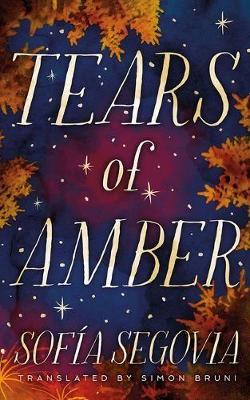 Book cover for Tears of Amber