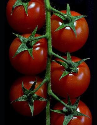 Book cover for Tomato Growers Notebook