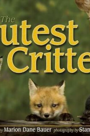 Cover of Cutest Critter