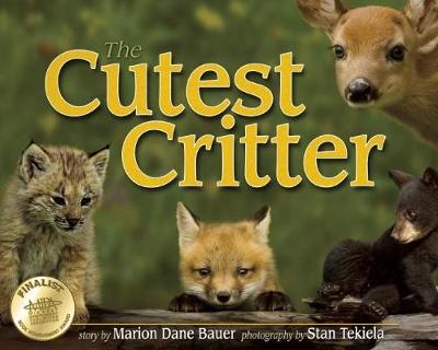 Book cover for Cutest Critter